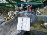 R0014330neq.JPG