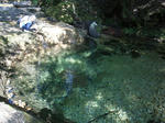 R0014285new.JPG