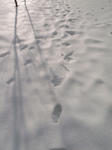 _0015357new.JPG