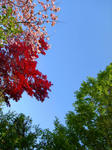 _0018445.JPG