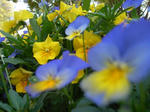 _0018414.JPG
