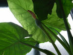 _0019000.JPG