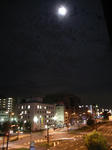 _0019561.jpg
