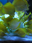 IMG_1174.jpg