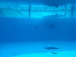 IMG_1178.jpg