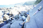 DSC03744.jpg