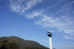 DSC06721.jpg