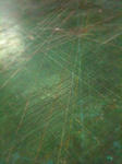 IMG_9341.jpg