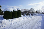 DSC07744.jpg