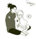 11-iruka.png
