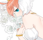 b6507dfd.png