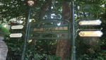DSCF1186.jpg