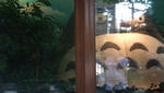 DSCF1187.jpg