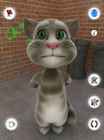 tom.png