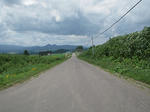 119.JPG
