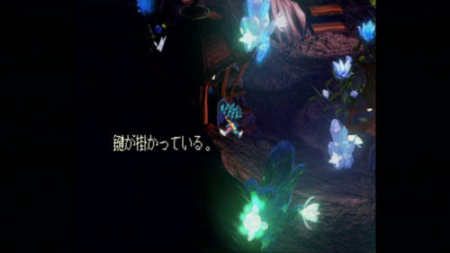 swk02.jpg