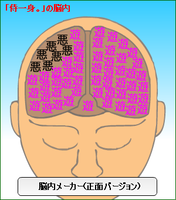 脳正面