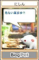 あぶないまゆ