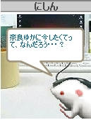 にしんの奇跡