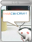 いっしんに会いに来たの？0419