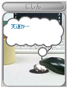 天道か…