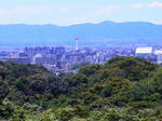 清水