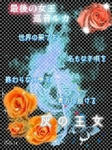 85d14ea3.JPG