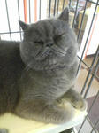 20080714140416.jpg