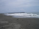 IMGP0596.JPG