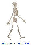 walking.gif