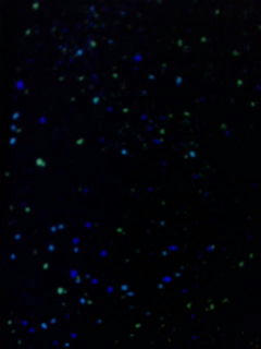 48cb9a95.jpg