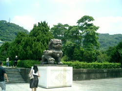 C01431.jpg
