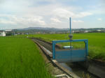 田んぼ