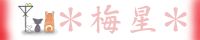 梅星バナー２