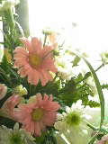 花１