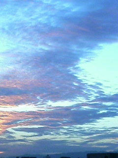 空５