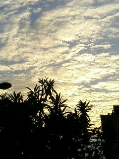 空８
