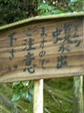 京都8