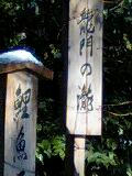 京都１３