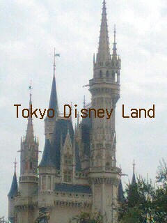 TDL