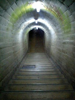 山口3