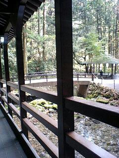 山口5
