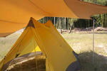 IMG_9155.jpg