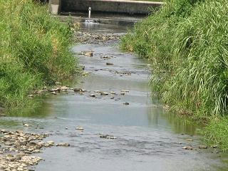 透明な小川