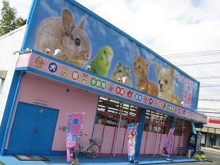 目立つ店舗!