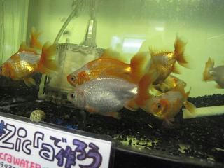 わらわら