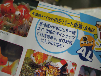 パチパチパチ