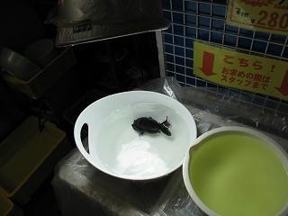 黒らんちゅう???