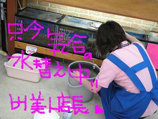 本当は？？？