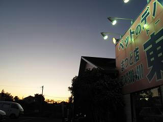 夕日って・・・
